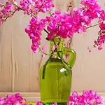 Κατοικιά Paros * دريوس