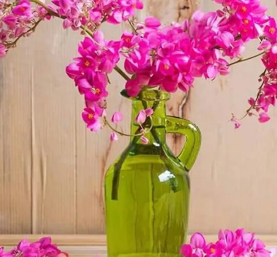 κατικια πάρος * Drios